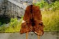 Preview: Bunte Deutsche Edelziege L (95x70cm) – Robustes Bastelfell kastanienbraun B-Ware